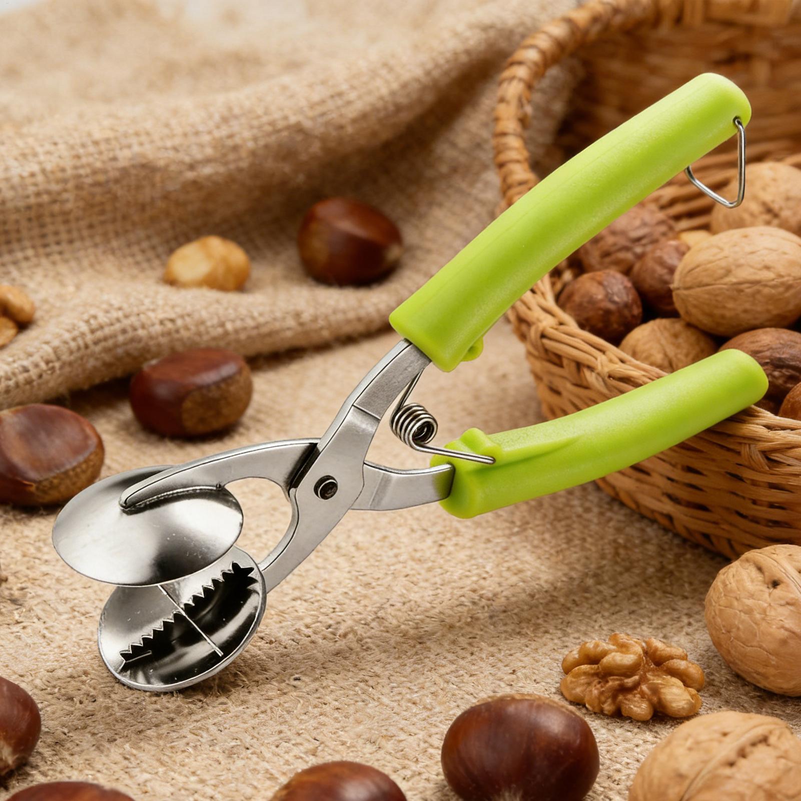 Kitchen Appliances Garage - Stainless Chestnut Machine Kitchen Accessories Chestnut