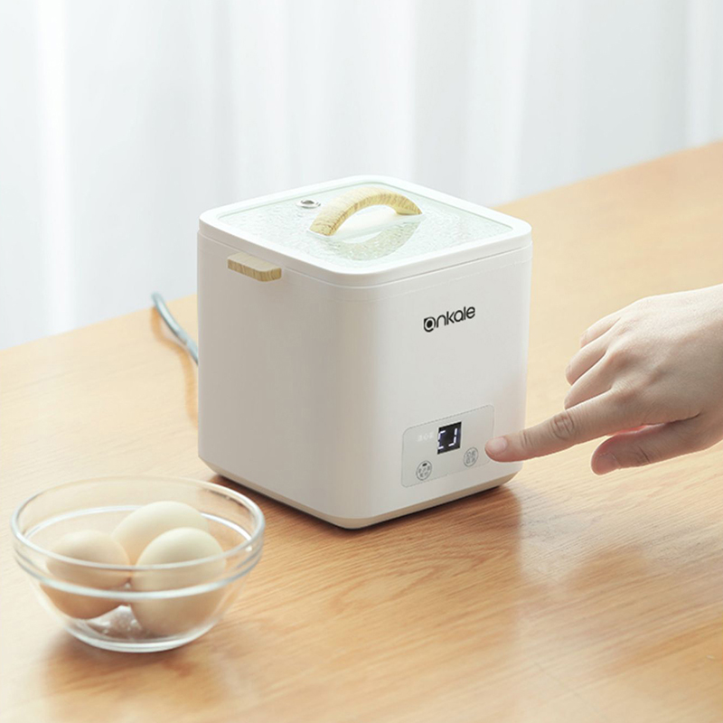 4 Eggs Boiler Steamer Multi Fu – Egg Cooker Rapid Bewertung und Preis