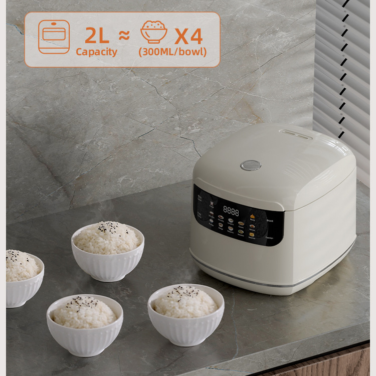 Smart Rice Cooker Compact 2-Li – Rice Cooker 10 Cup Bewertung und Preis