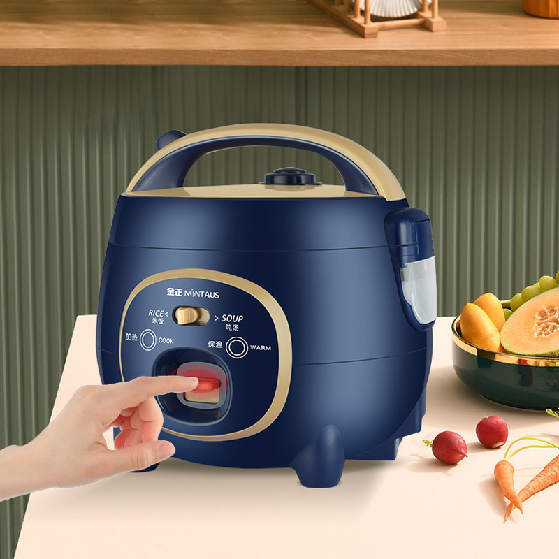 2 IN 1 1.8L Small Rice Cooker  – Rice Cooker 10 Cup Bewertung und Preis