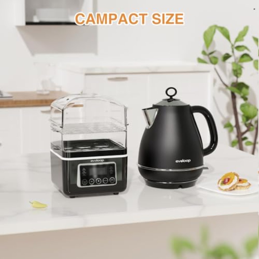 2 Tiers Electric Food Steamer  – Egg Cooker Rapid Bewertung und Preis