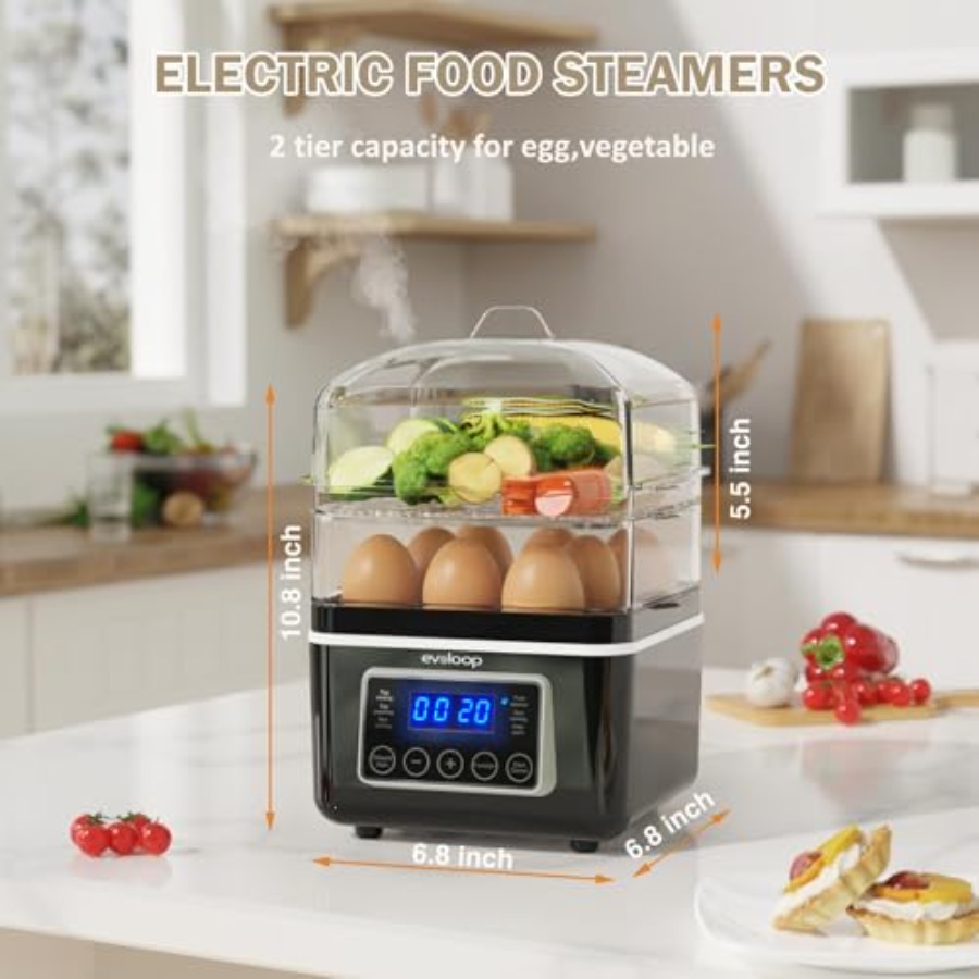 2 Tiers Electric Food Steamer  – Egg Cooker Rapid Bewertung und Preis