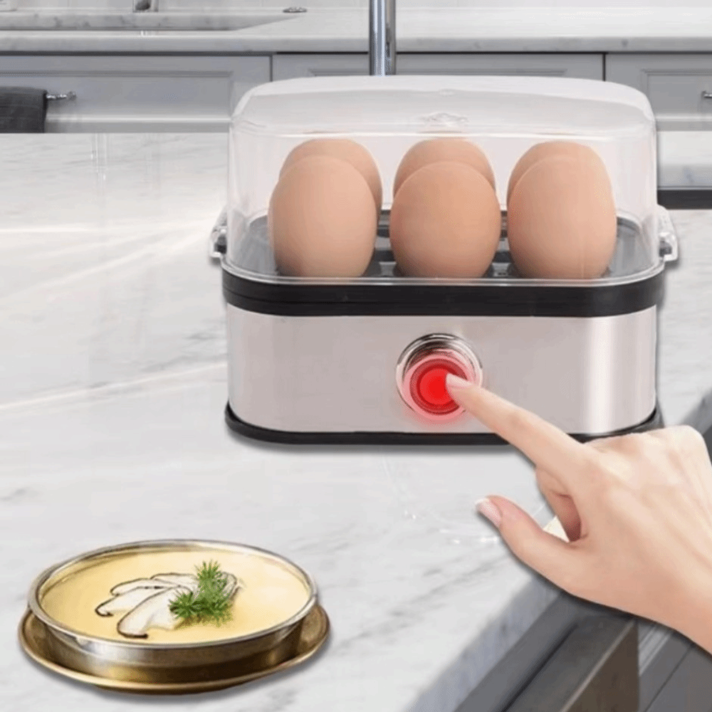 200W Power Eggs Boiler 6 Eggs  – Egg Cooker Rapid Bewertung und Preis