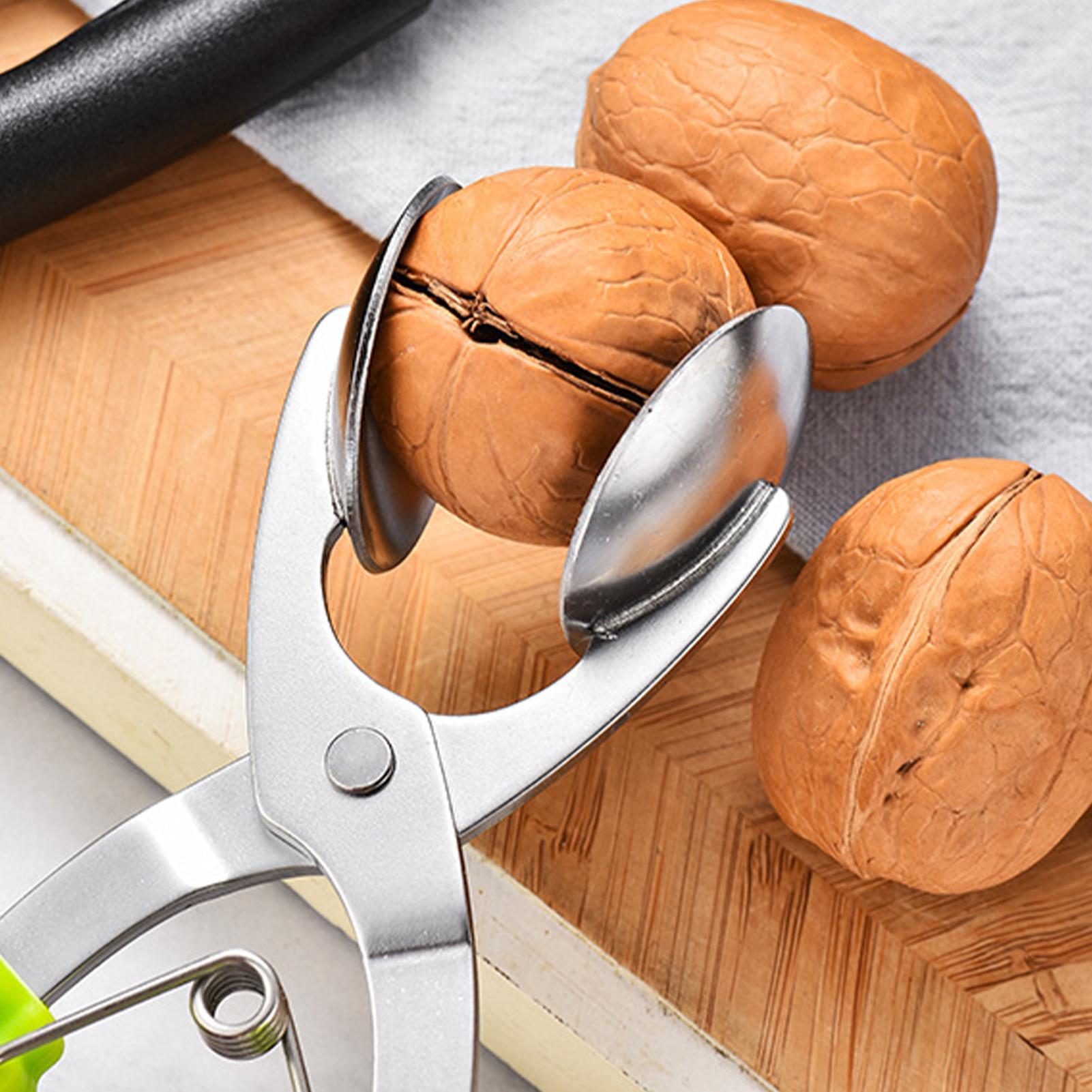 Stainless Chestnut Machine Kit – Kitchen Appliances Garage Bewertung und Preis