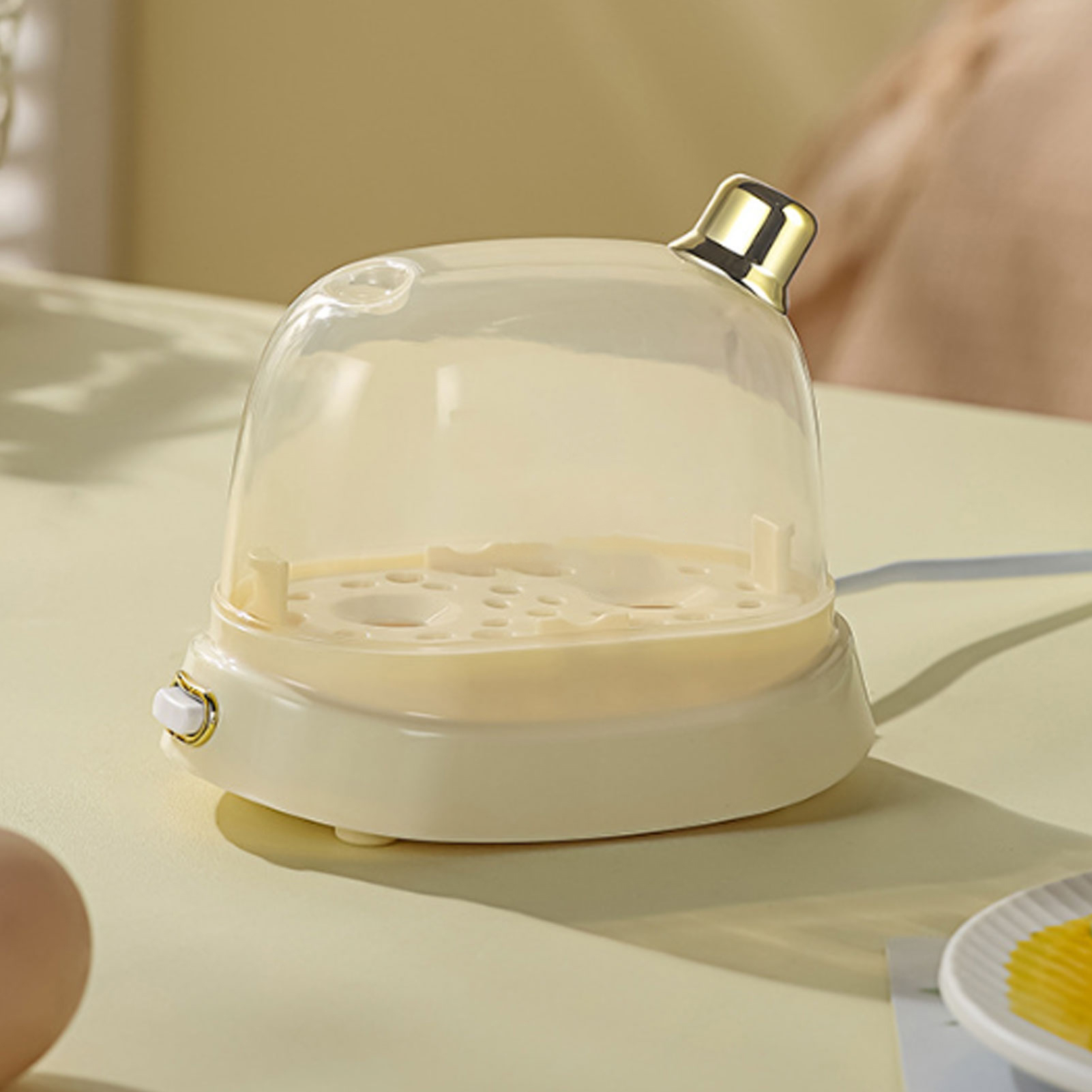 Rapid Egg Cooker 2 Egg Capacit – Egg Cooker Rapid Bewertung und Preis