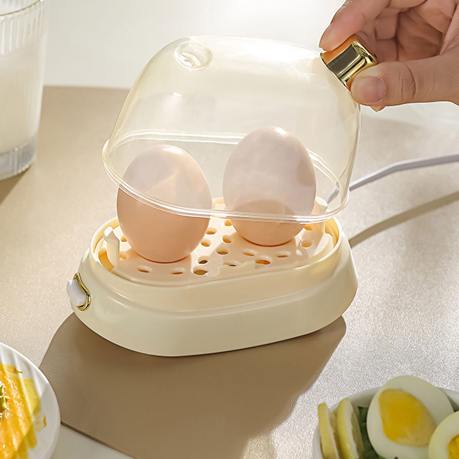 Rapid Egg Cooker 2 Egg Capacit – Egg Cooker Rapid Bewertung und Preis