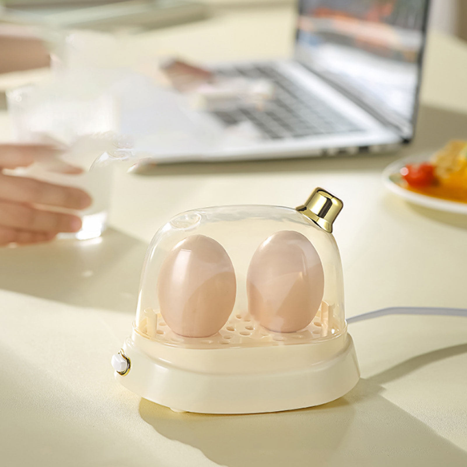 Rapid Egg Cooker 2 Egg Capacit – Egg Cooker Rapid Bewertung und Preis